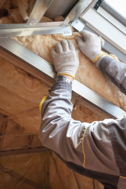 Best Blown-in Insulation in Placitas, NM