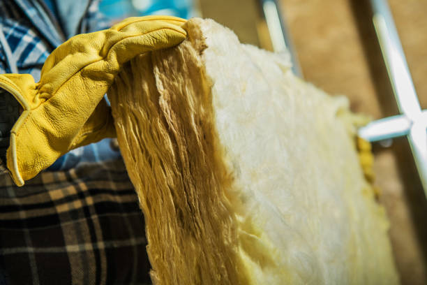Best Spray Foam Insulation in Placitas, NM