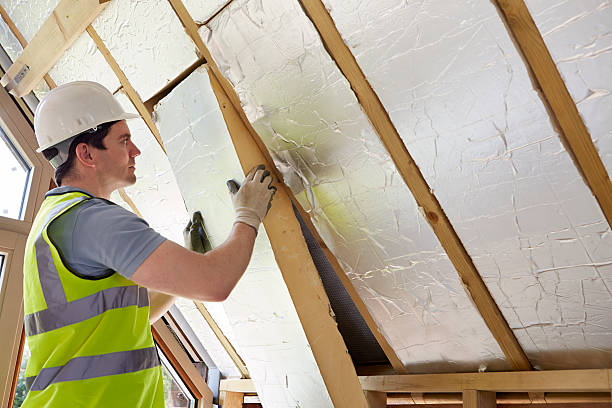 Best Eco-Friendly Insulation in Placitas, NM