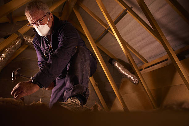 Types of Insulation We Offer in Placitas, NM